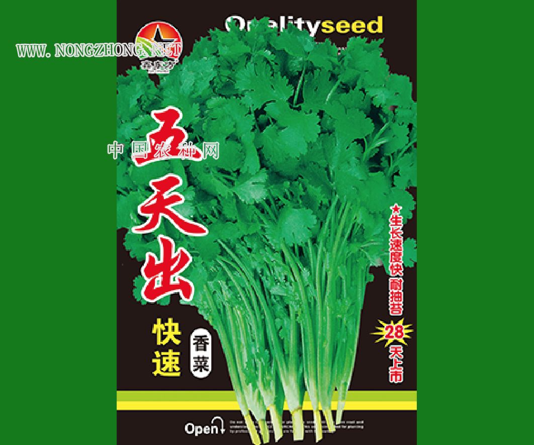 五天出
